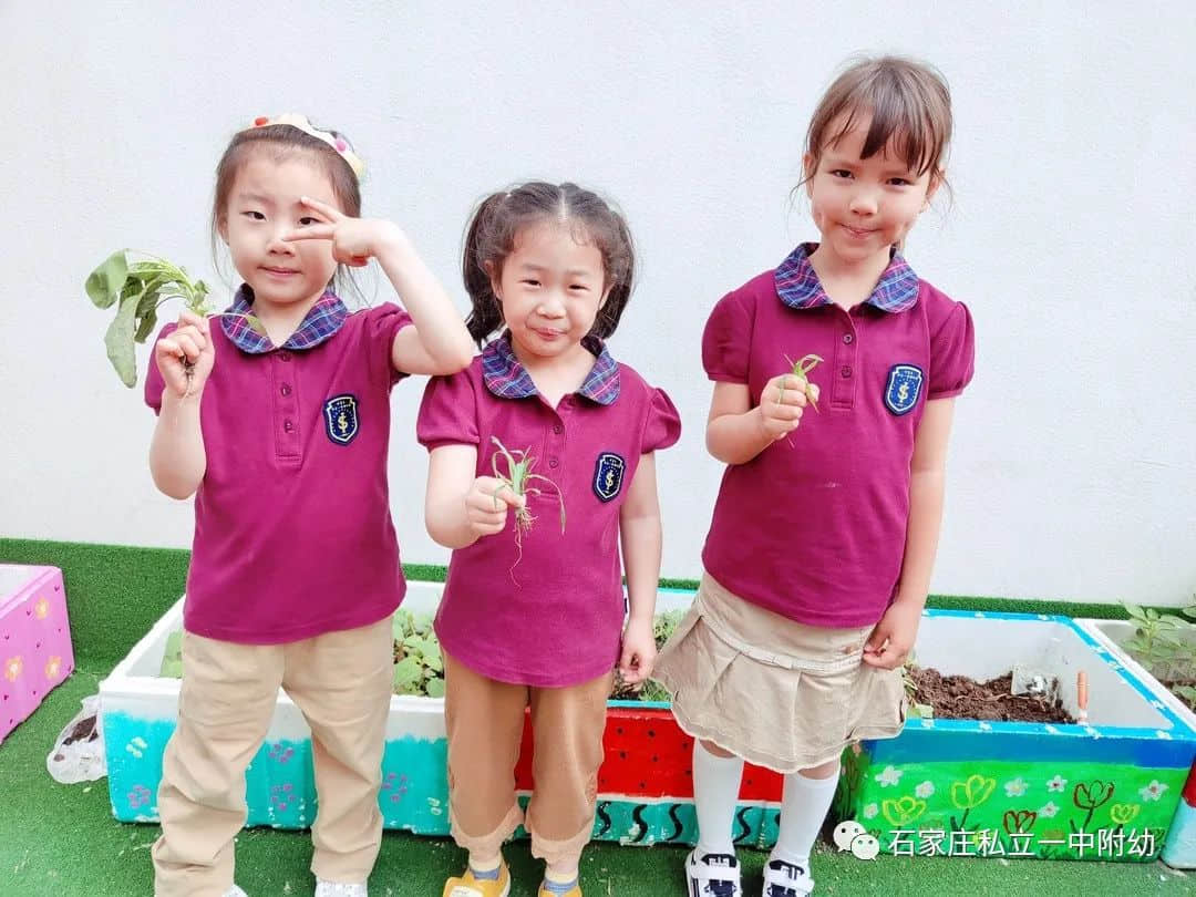 【幼之育】小滿小滿，幸?！坝住泵罎M
