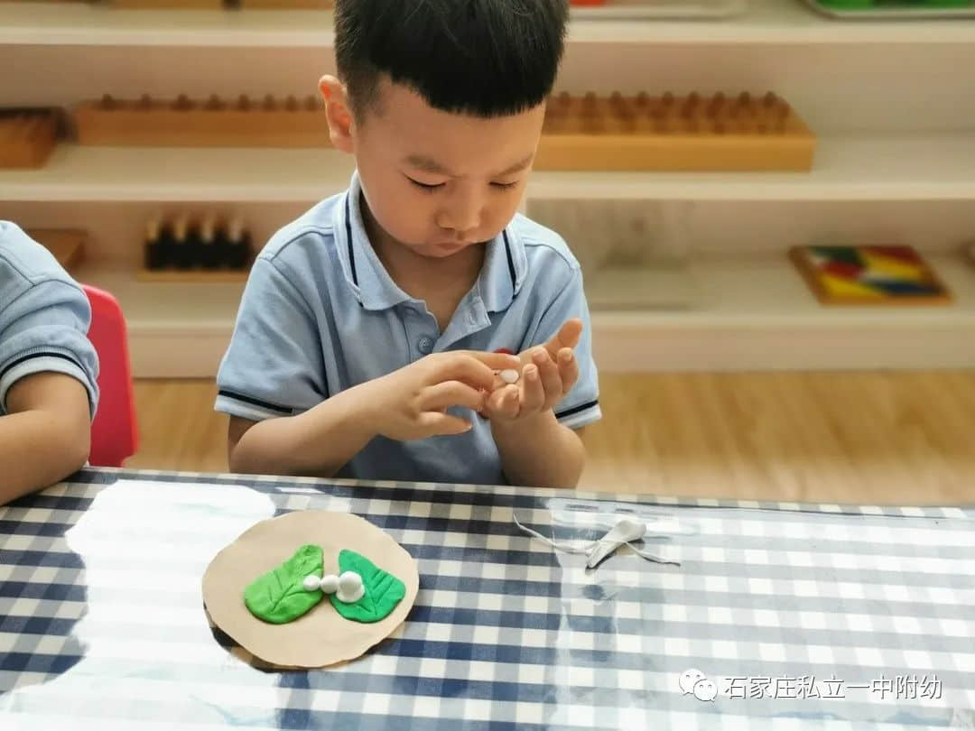 【幼之育】小滿小滿，幸?！坝住泵罎M