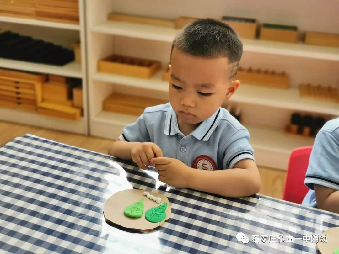 【幼之育】小滿小滿，幸?！坝住泵罎M