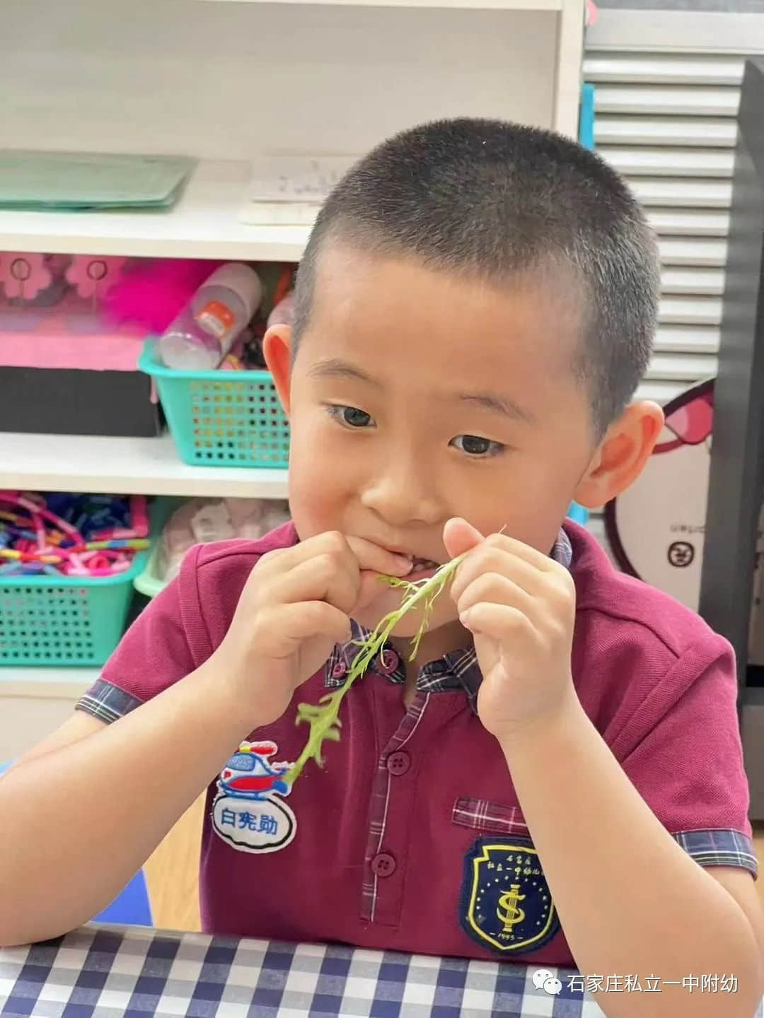 【幼之育】小滿小滿，幸?！坝住泵罎M