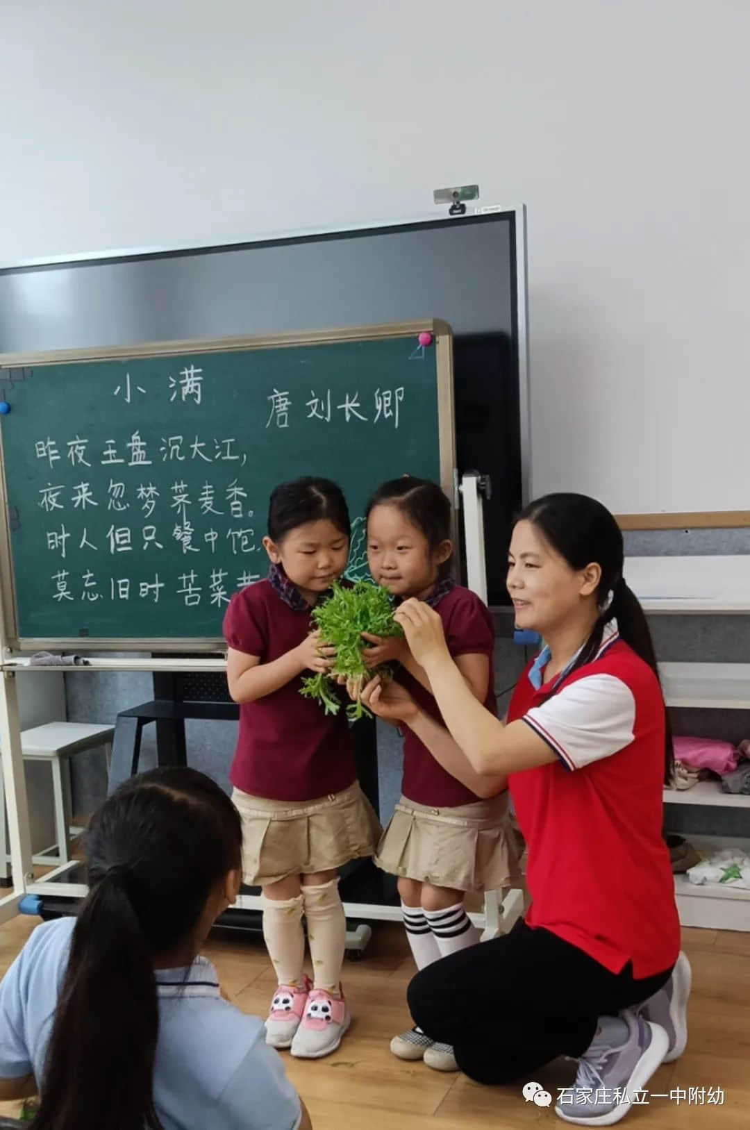 【幼之育】小滿小滿，幸?！坝住泵罎M