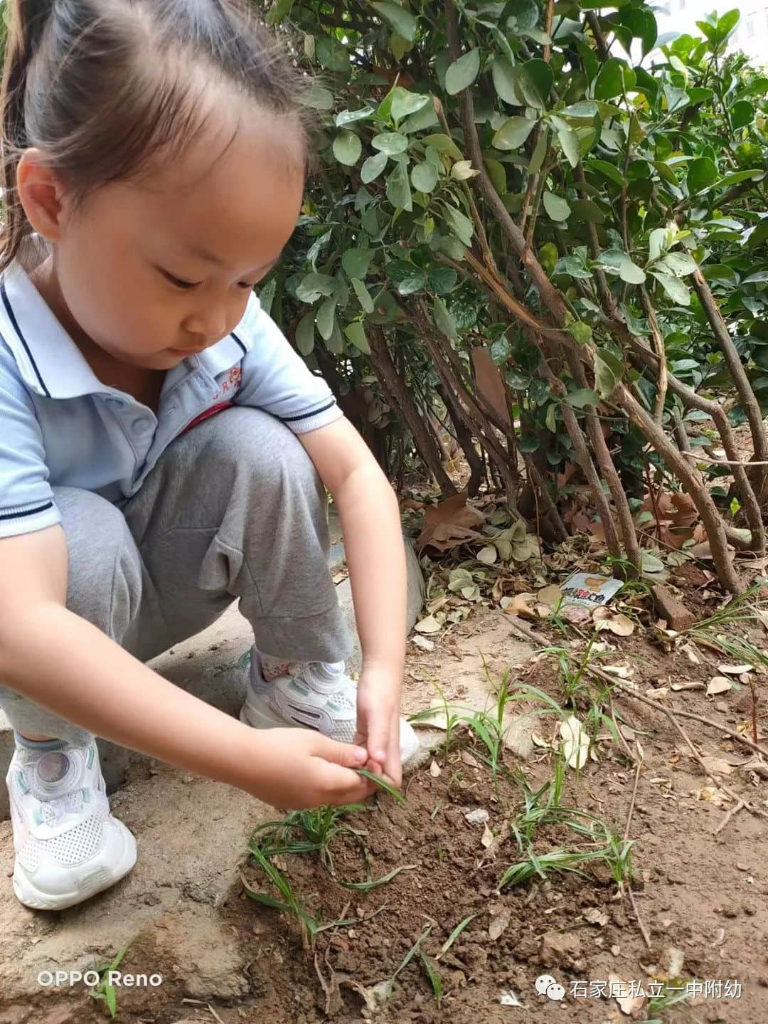 【幼之育】小滿小滿，幸?！坝住泵罎M