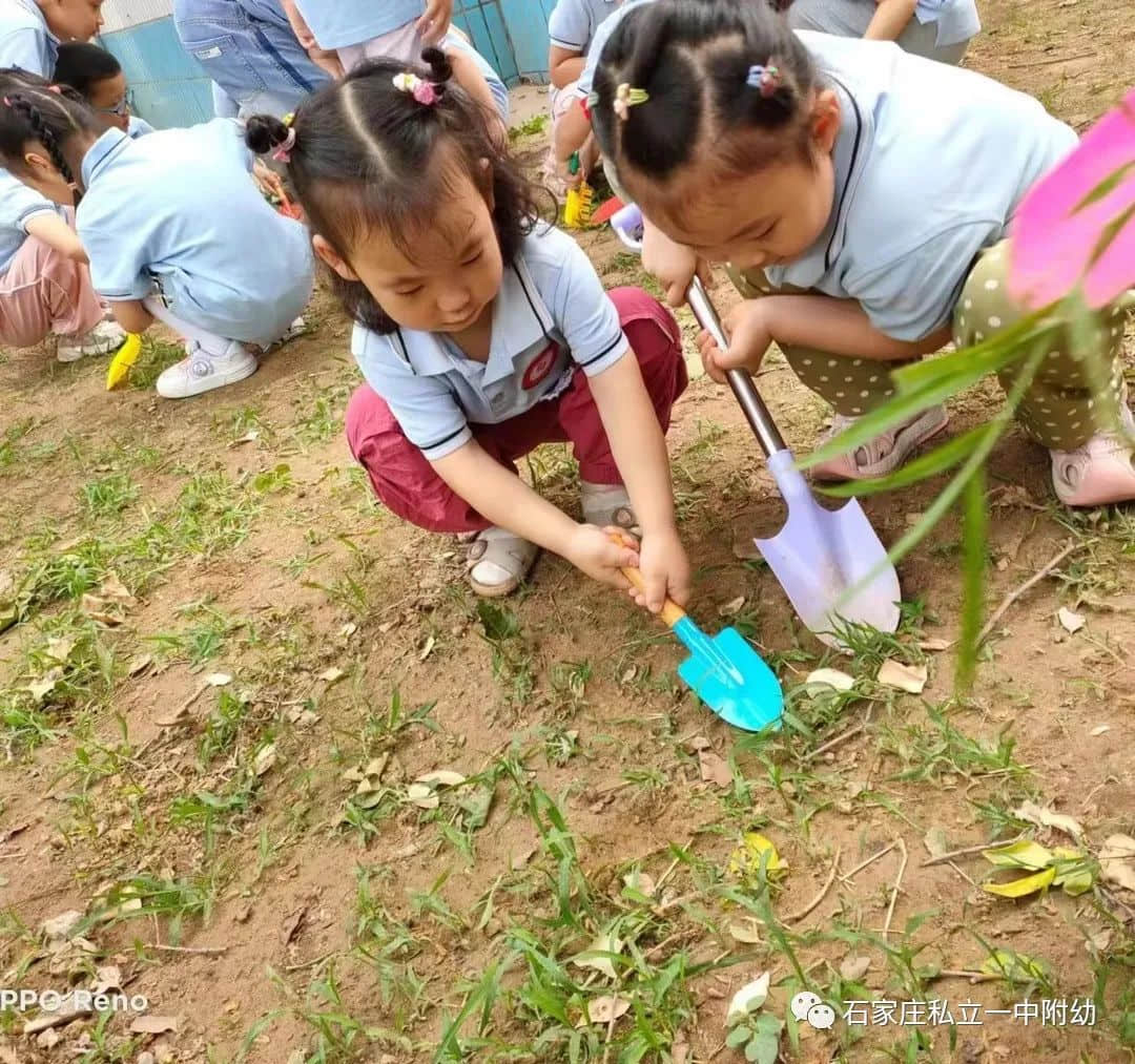 【幼之育】小滿小滿，幸福“幼”美滿