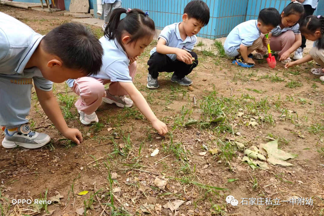 【幼之育】小滿小滿，幸?！坝住泵罎M