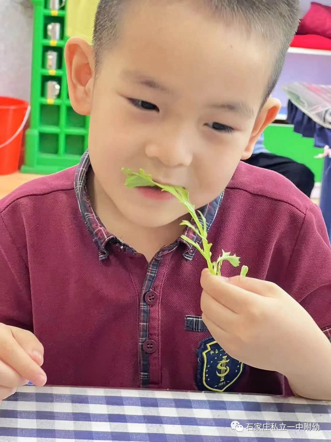 【幼之育】小滿小滿，幸?！坝住泵罎M