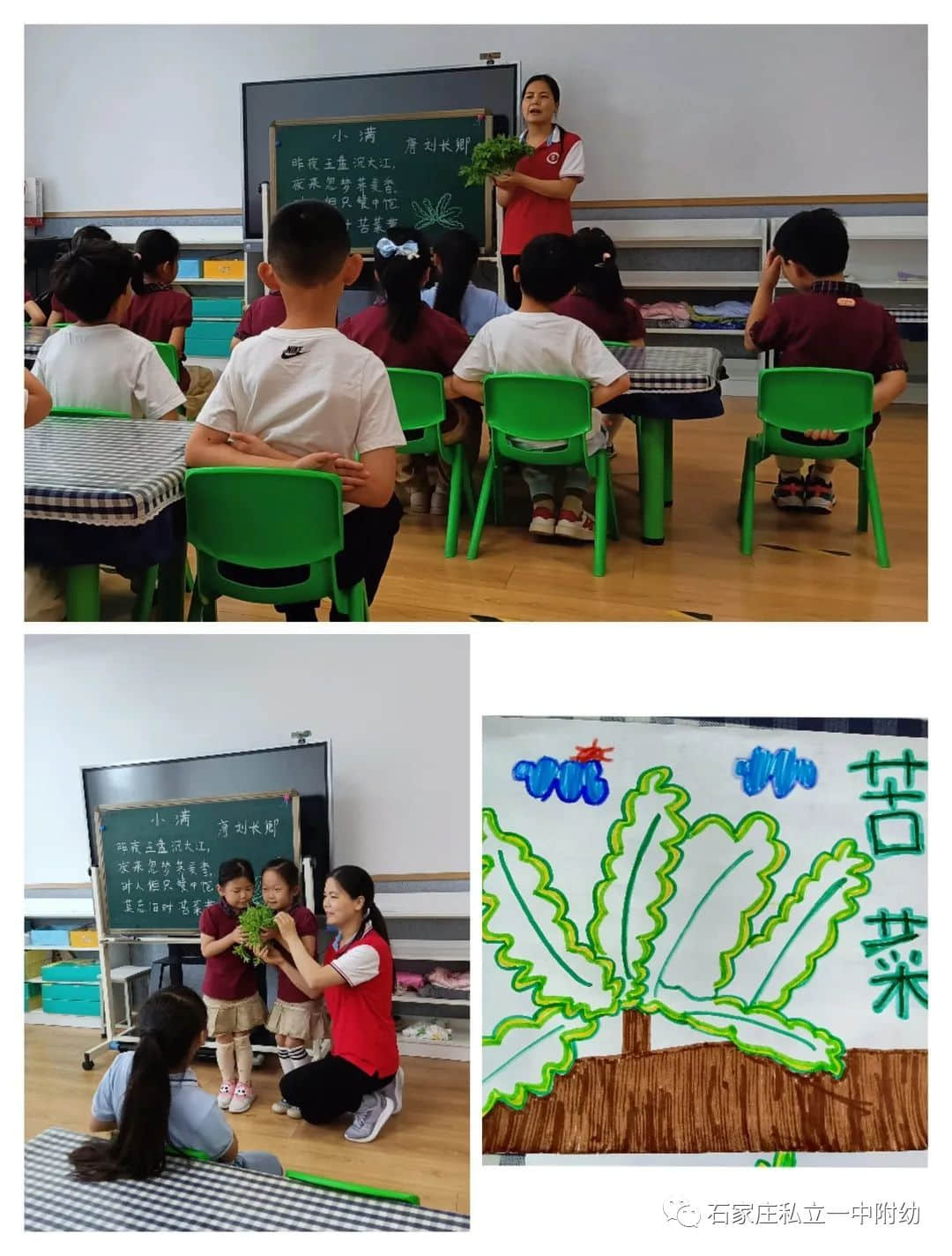 【幼之育】小滿小滿，幸福“幼”美滿