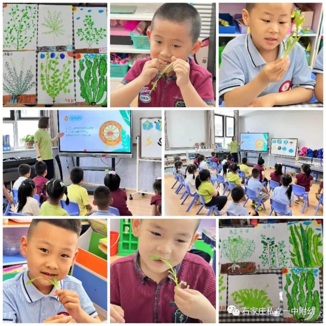 【幼之育】小滿小滿，幸?！坝住泵罎M