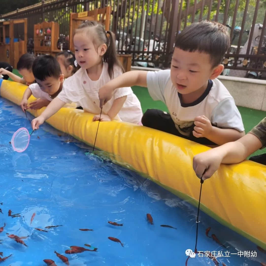 秋趣、魚趣、童趣