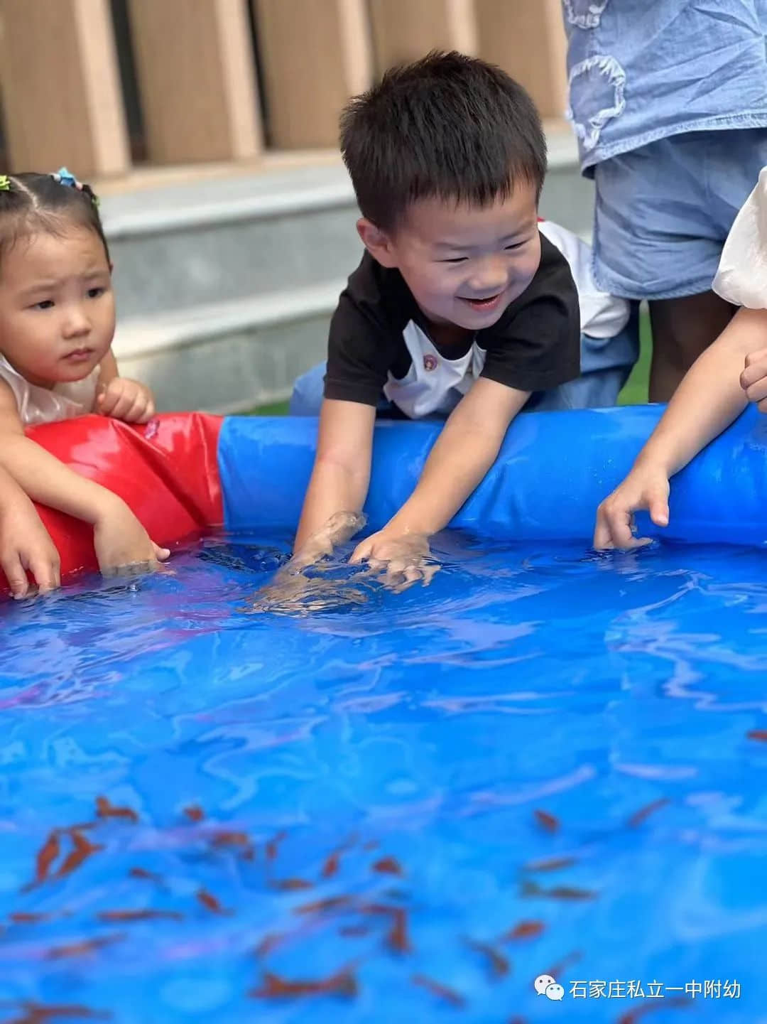 秋趣、魚趣、童趣