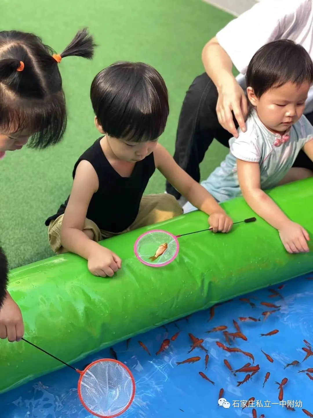 秋趣、魚趣、童趣