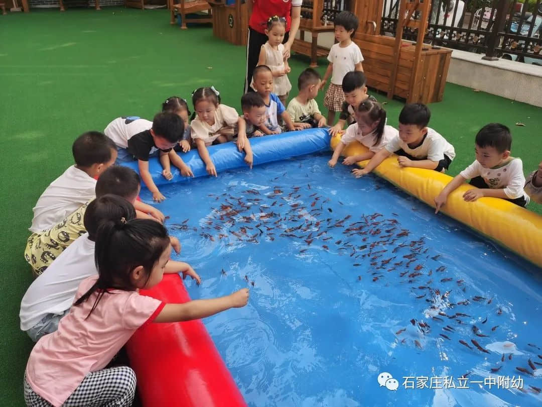 秋趣、魚趣、童趣