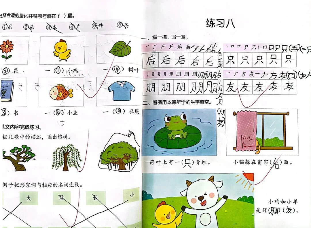 【預?導師】打好基礎 養(yǎng)好習慣 ——石家莊私立一中附小預科部作業(yè)展評活動
