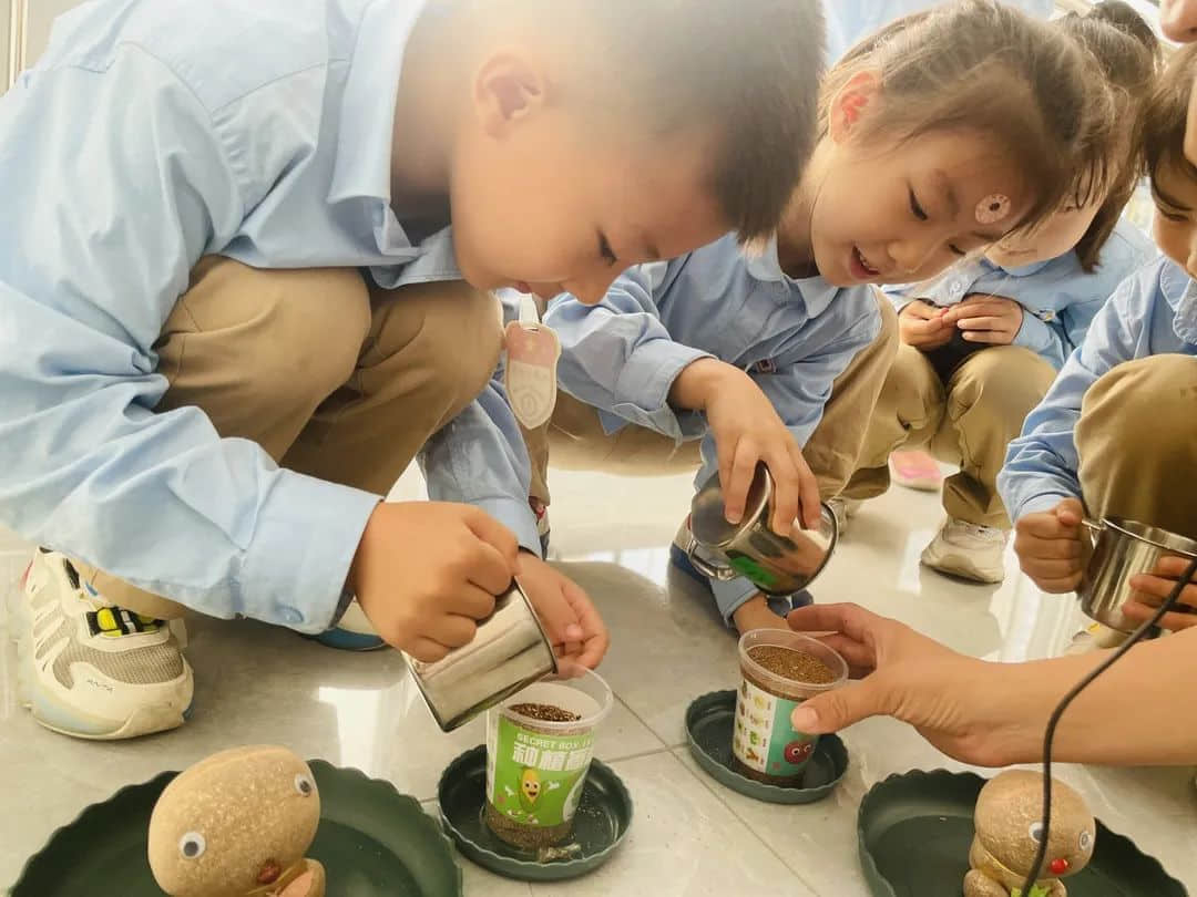【預(yù)?成長(zhǎng)】那些屬于我們的時(shí)光 ——石家莊私立一中附小預(yù)科部時(shí)光故事