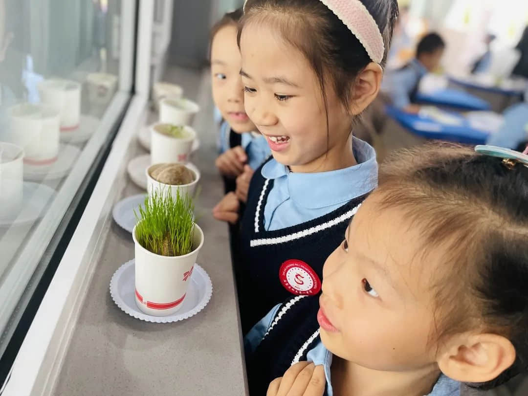 【預(yù)?成長(zhǎng)】那些屬于我們的時(shí)光 ——石家莊私立一中附小預(yù)科部時(shí)光故事