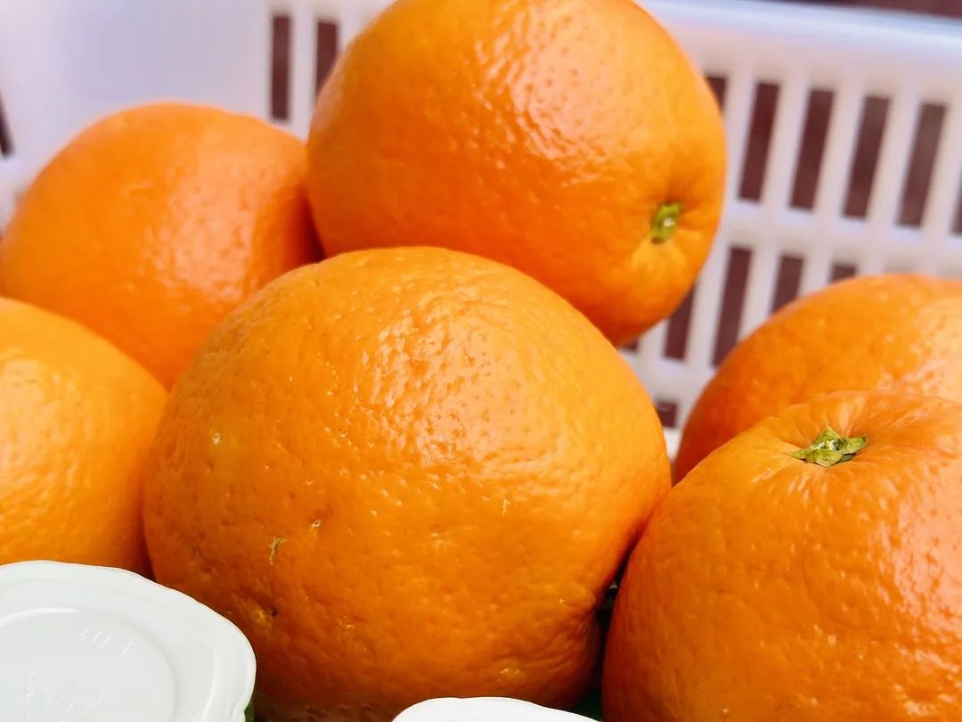 【預(yù)?美食】三餐四季 “食”光漫長(zhǎng) 專(zhuān)注營(yíng)養(yǎng)——石家莊私立一中附小預(yù)科部|每月食譜