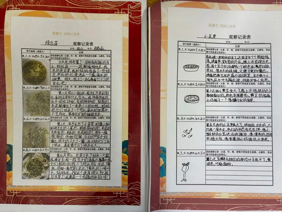 【立小?思政】“國慶”實(shí)踐類特色作業(yè)，請查收！