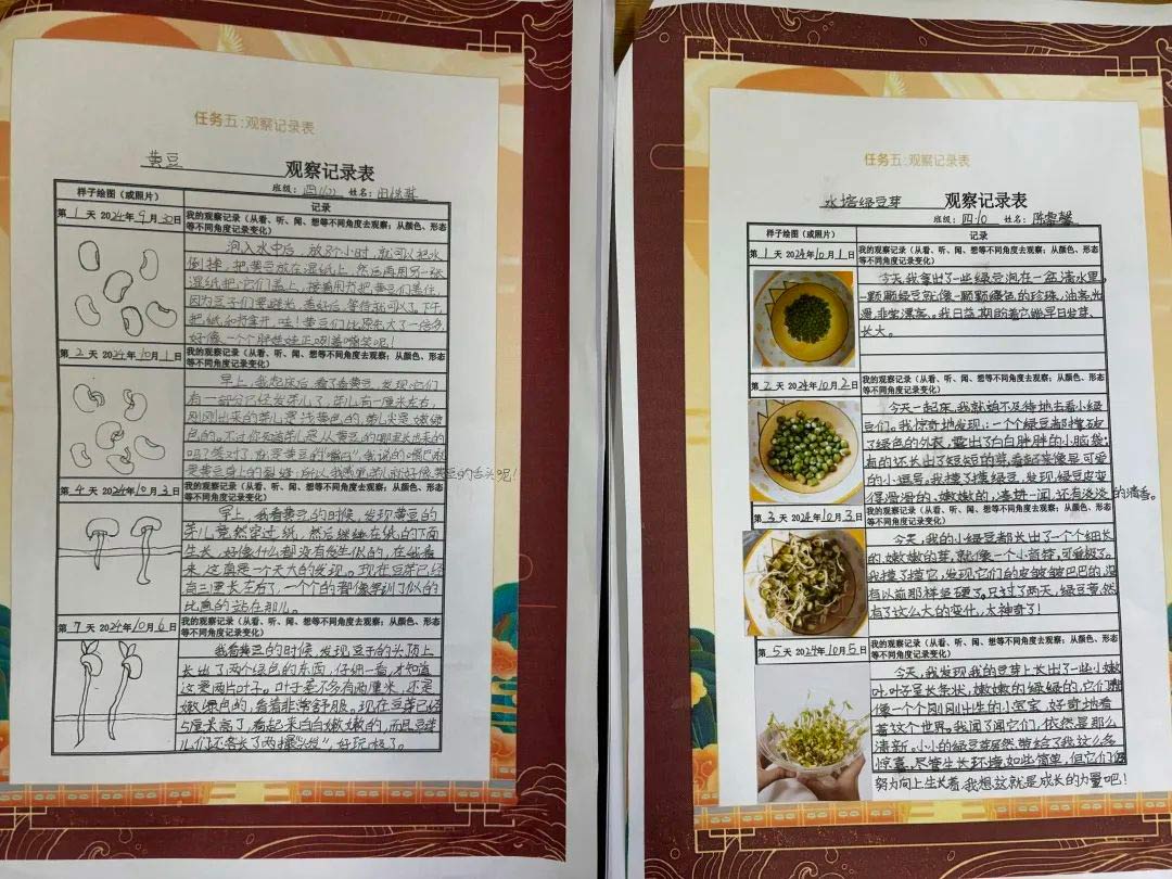 【立小?思政】“國慶”實(shí)踐類特色作業(yè)，請查收！
