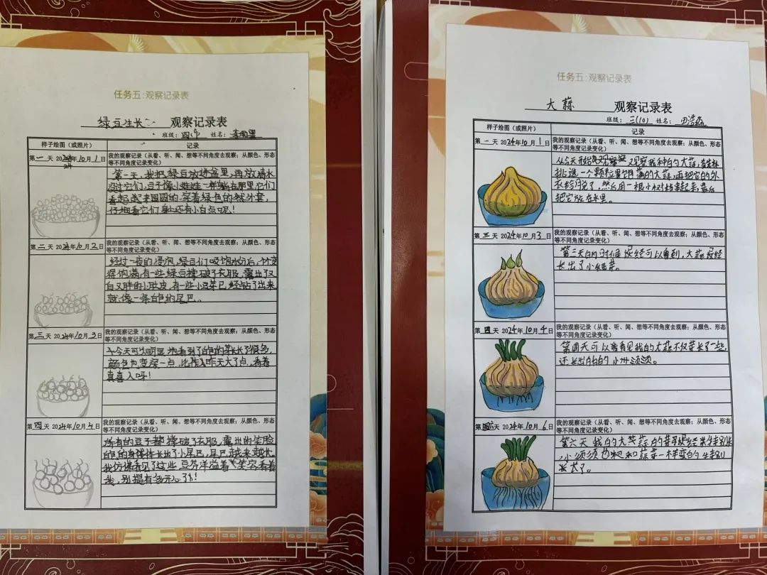 【立小?思政】“國慶”實(shí)踐類特色作業(yè)，請查收！