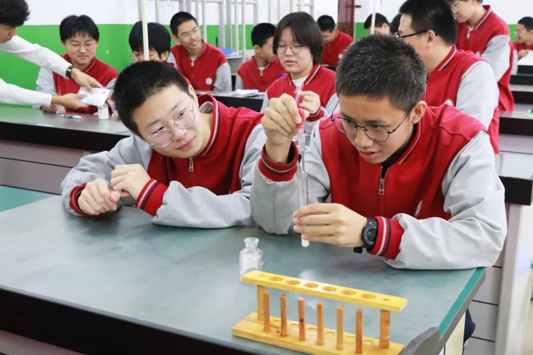 探索科學奧秘 點亮智慧之光丨科學實驗開啟精彩探索之旅