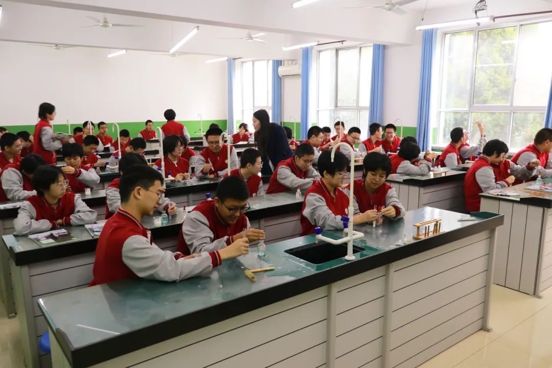 探索科學奧秘 點亮智慧之光丨科學實驗開啟精彩探索之旅