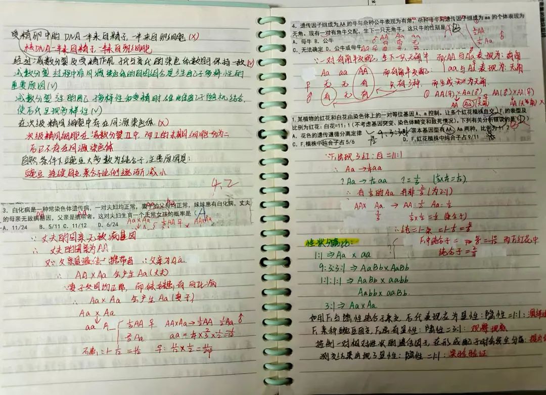 課堂隨拍丨那些閃耀的青春時(shí)光