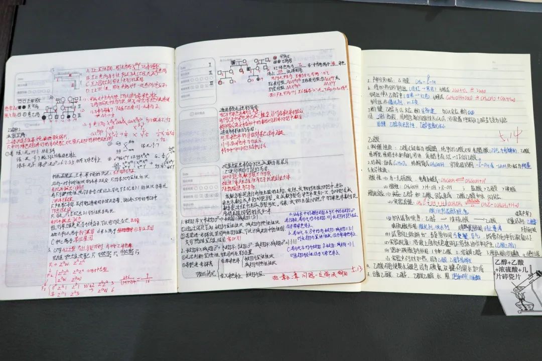 課堂隨拍丨那些閃耀的青春時(shí)光