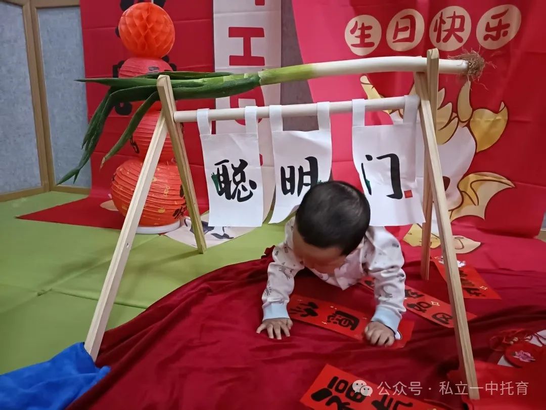 【寶龍托育】一歲一禮 一寸歡喜----朝朝辰辰周歲宴